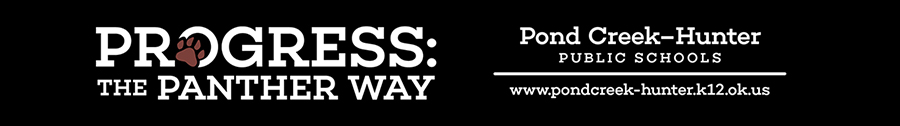 bond issue banner