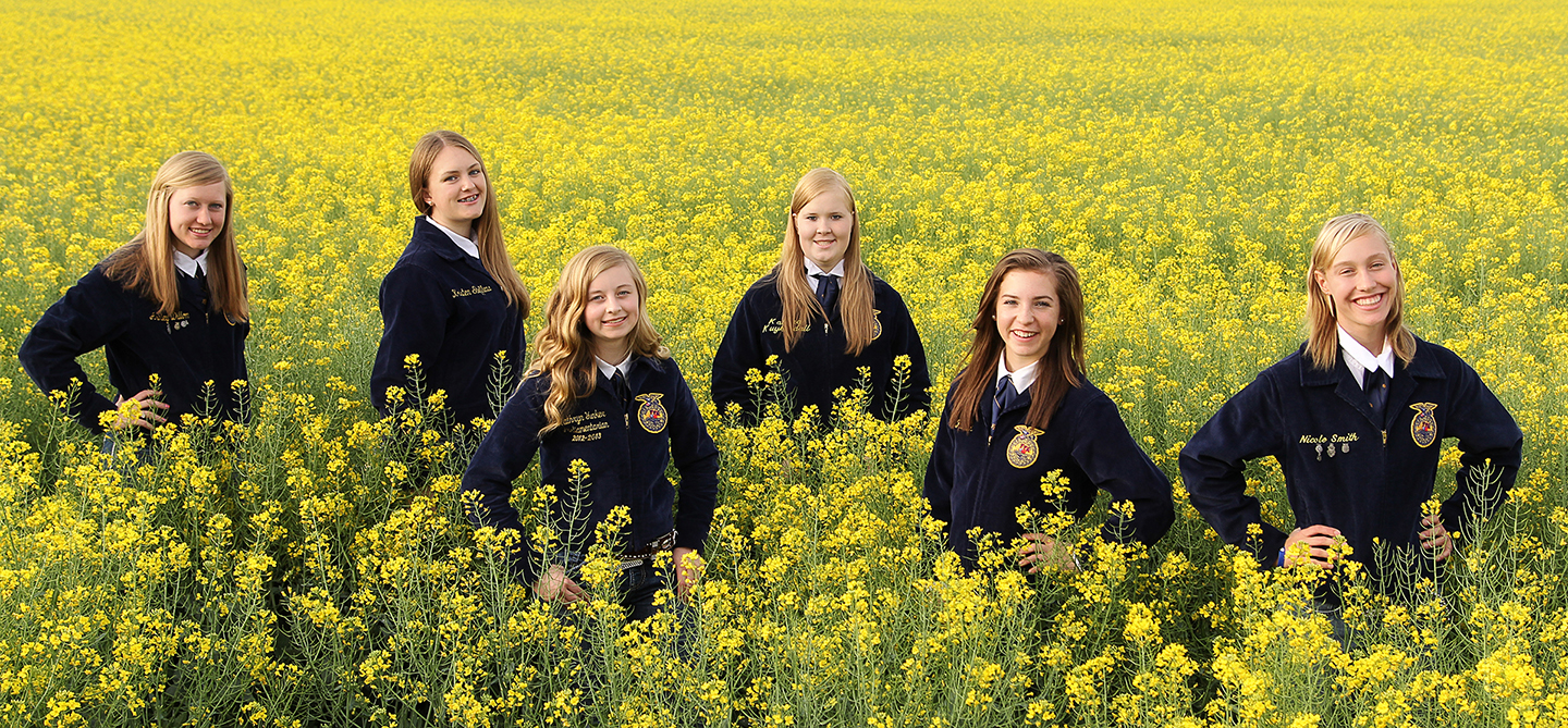 officer team